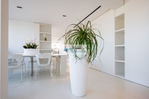 Sogno Alghero in Riva al Mare |  -  - 