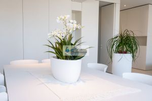 Sogno Alghero in Riva al Mare |  -  - 