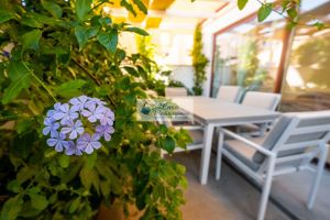 Sogno Alghero in Riva al Mare |  -  - 