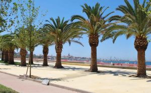 Attico Barcellona |  -  - 