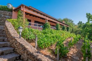 Villa Ozieri |  -  - 