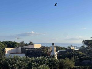 Villa Ancora di Mare |  -  - 