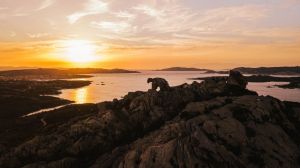 Villino Portu Mannu  |  -  - 