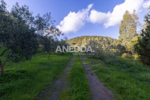 Villa Perdaxius |  -  - 