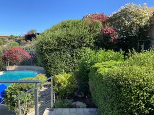 Villa Azzurra Costa Paradiso |  -  - 