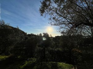 Villa Regina |  -  - 