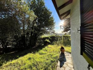 Villa Regina |  -  - 