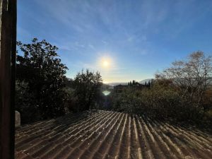 Villa Regina |  -  - 