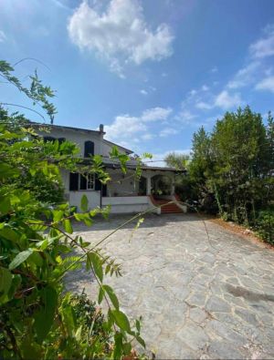 Villa Regina |  -  - 