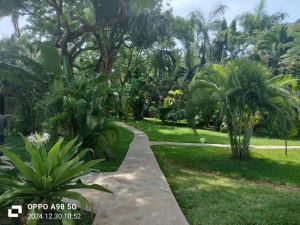 Casa Rosada Beach |  -  - 