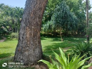 Casa Rosada Beach |  -  - 