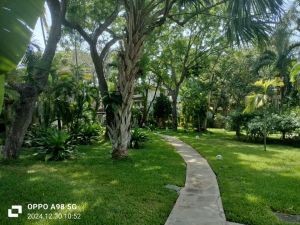 Casa Rosada Beach |  -  - 
