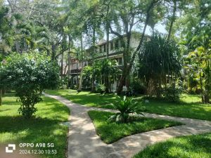 Casa Rosada Beach |  -  - 