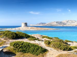 Villa La Piu' Bella del Reame  |  -  - 
