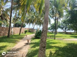 Villa Azzurra |  -  - 