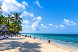 Sunset Dream Watamu |  -  - 