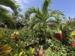 Villa Jonathan |  -  - 