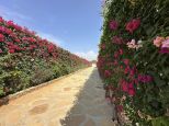 Villa Jonathan |  -  - 