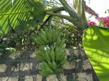 Villa Jonathan |  -  - 