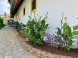 Villa Jonathan |  -  - 