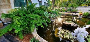 Villa KIlifi |  -  - 