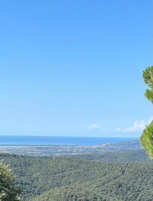 Residenza Vetulonia |  -  - 