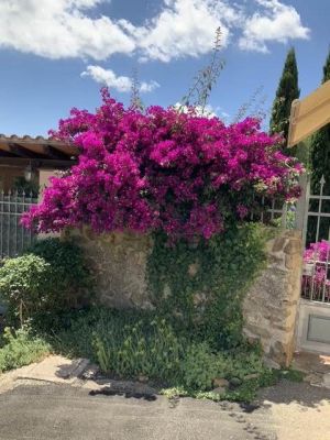 Residenza Vetulonia |  -  - 