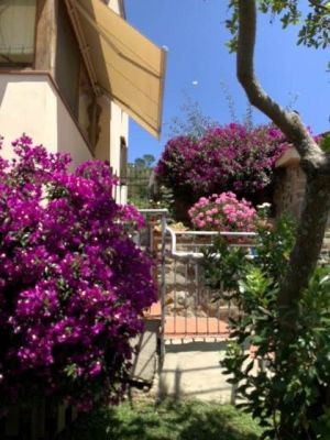 Residenza Vetulonia |  -  - 
