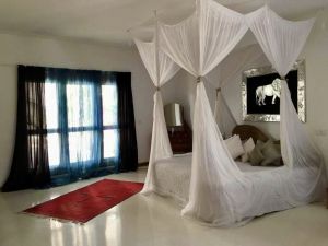 Villa Ocean  |  -  - 
