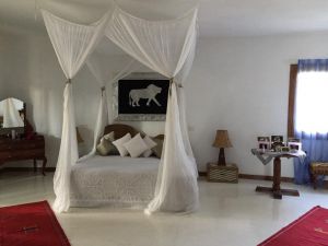 Villa Ocean  |  -  - 