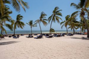 Villa Ocean  |  -  - 