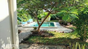 Villa Papa Remo |  -  - 