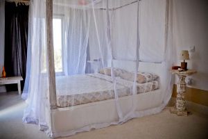 Villa Papa Remo |  -  - 