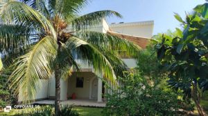 Villa Papa Remo |  -  - 