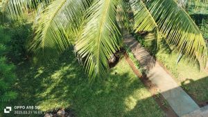 Villa Papa Remo |  -  - 