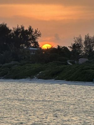 Casa Blue Bay Watamu |  -  - 