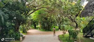 Casa Blue Bay Watamu |  -  - 