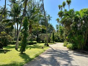 Casa Blue Bay Watamu |  -  - 