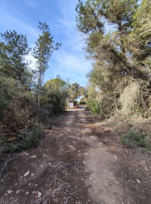 Casa de Piedra |  -  - 