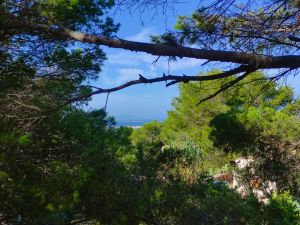 Villa Ventana al Mediterraneo |  -  - 