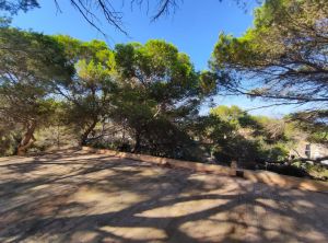 Villa Ventana al Mediterraneo |  -  - 