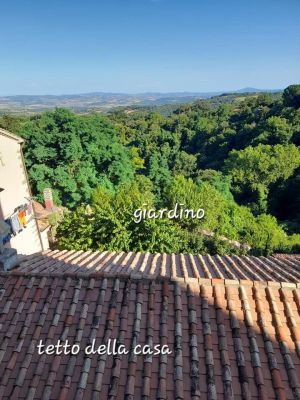 La Casetta delle Favole |  -  - 