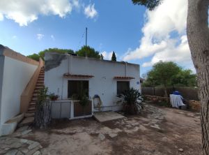 Finca Rustica |  -  - 