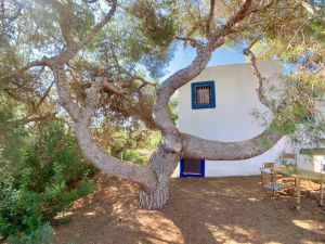 Casa Penelope Formentera |  -  - 