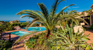Villino Profumo Mediterraneo |  -  - 
