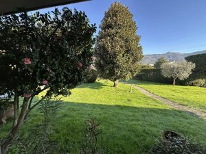 Villa Romana |  -  - 
