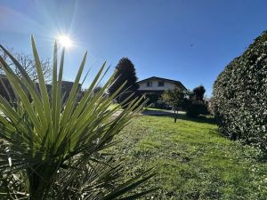 Villa Romana |  -  - 