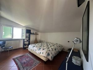 Villa Romana |  -  - 