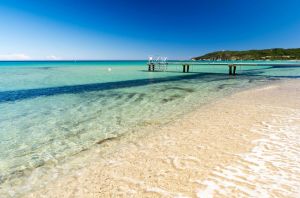 Tenuta Saint Tropez |  -  - 