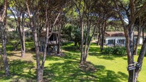 Tenuta Saint Tropez |  -  - 